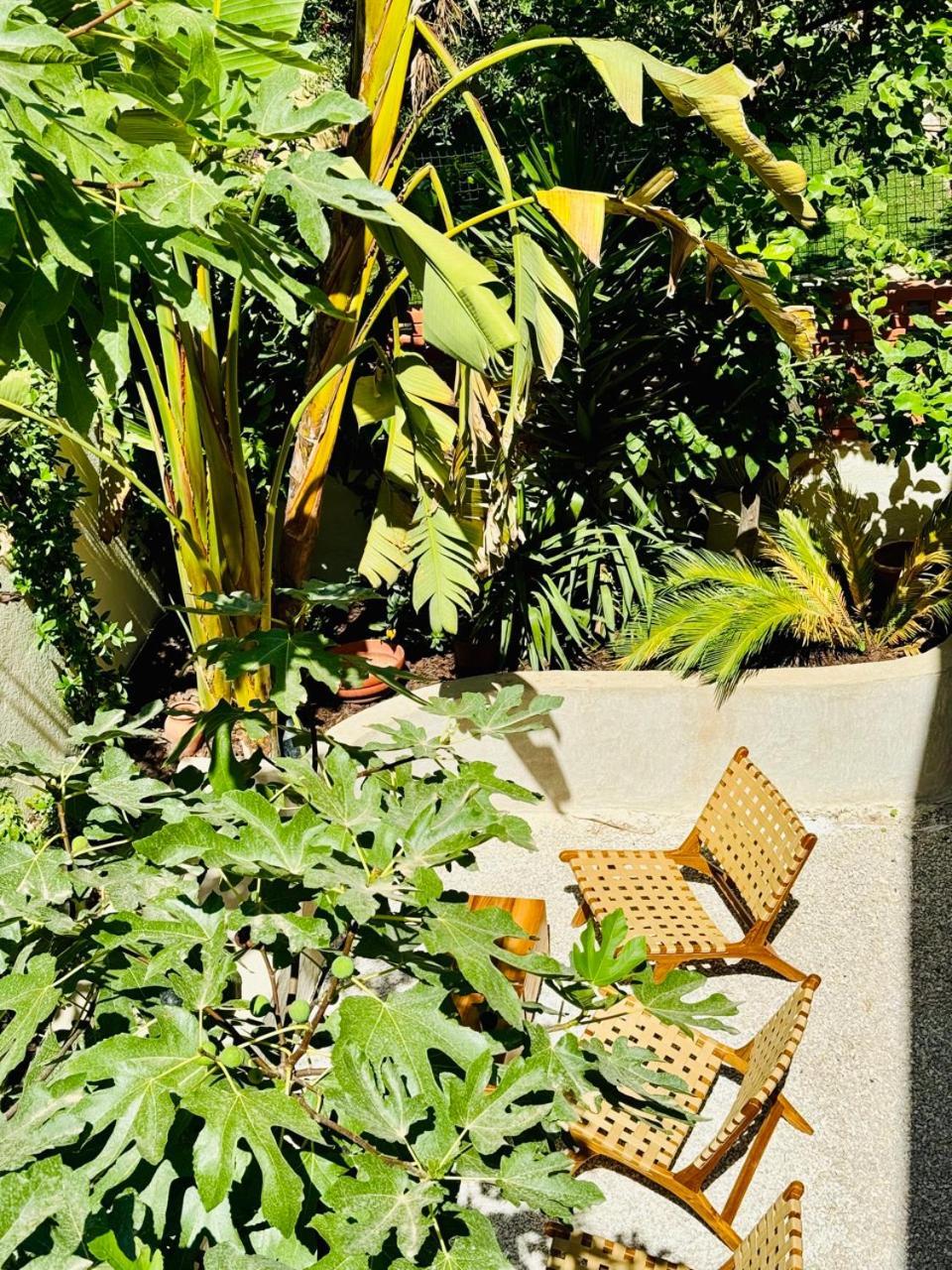 Maison Lyo Suite Luxe Cannes Esterno foto